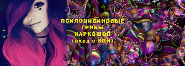 spice Аркадак